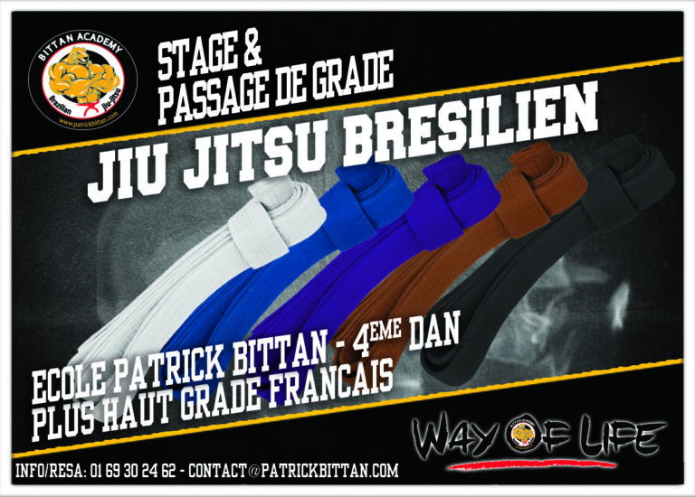 Read more about the article 36 ème Stage et Passage de Grade Jiu-Jitsu Brésilien